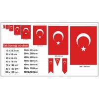 İBA8013